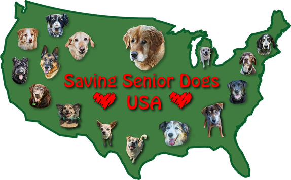 Saving Senior Dogs USA